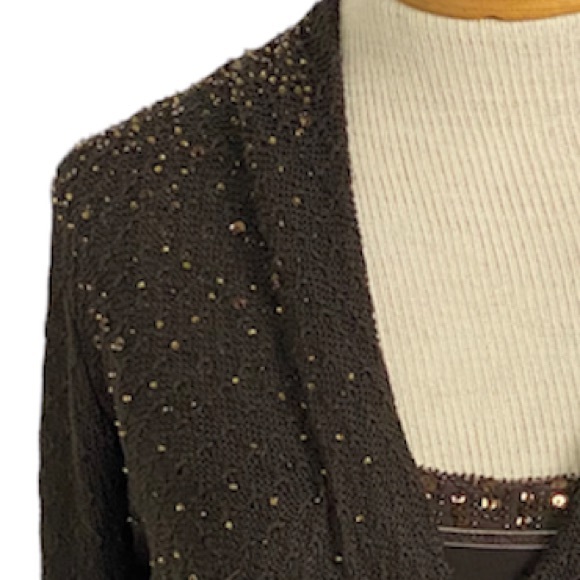 Ann Taylor M V-neck Beaded Brown Sweater and Tank - Picture 3 of 11